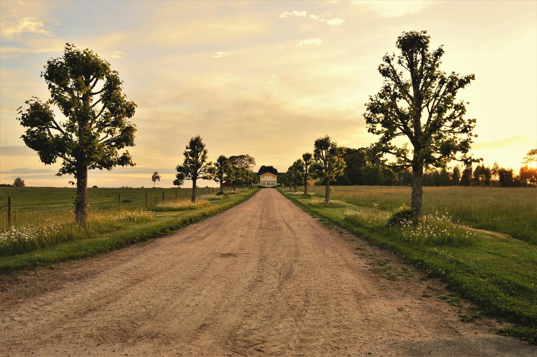 dirt path leading to house under clear day sky