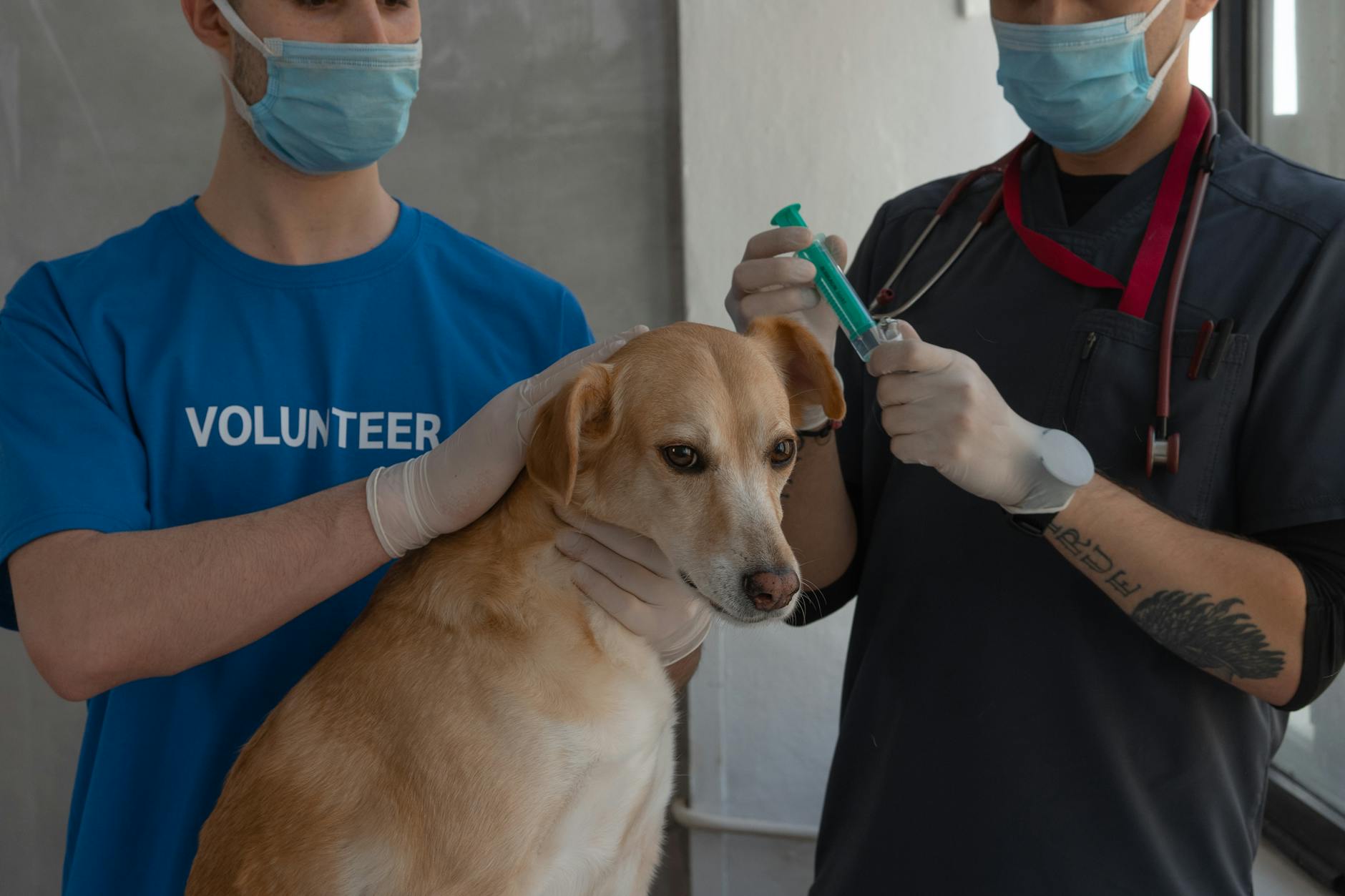 men with face mask standing beside a dog in the clinic