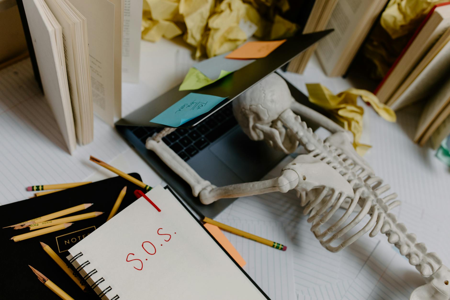 a skeleton leaning on a laptop
