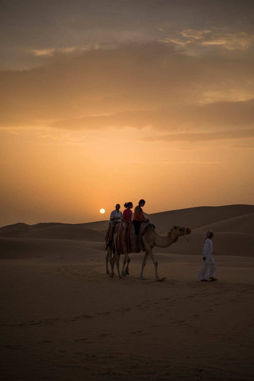 photography of people riding camel during sunset