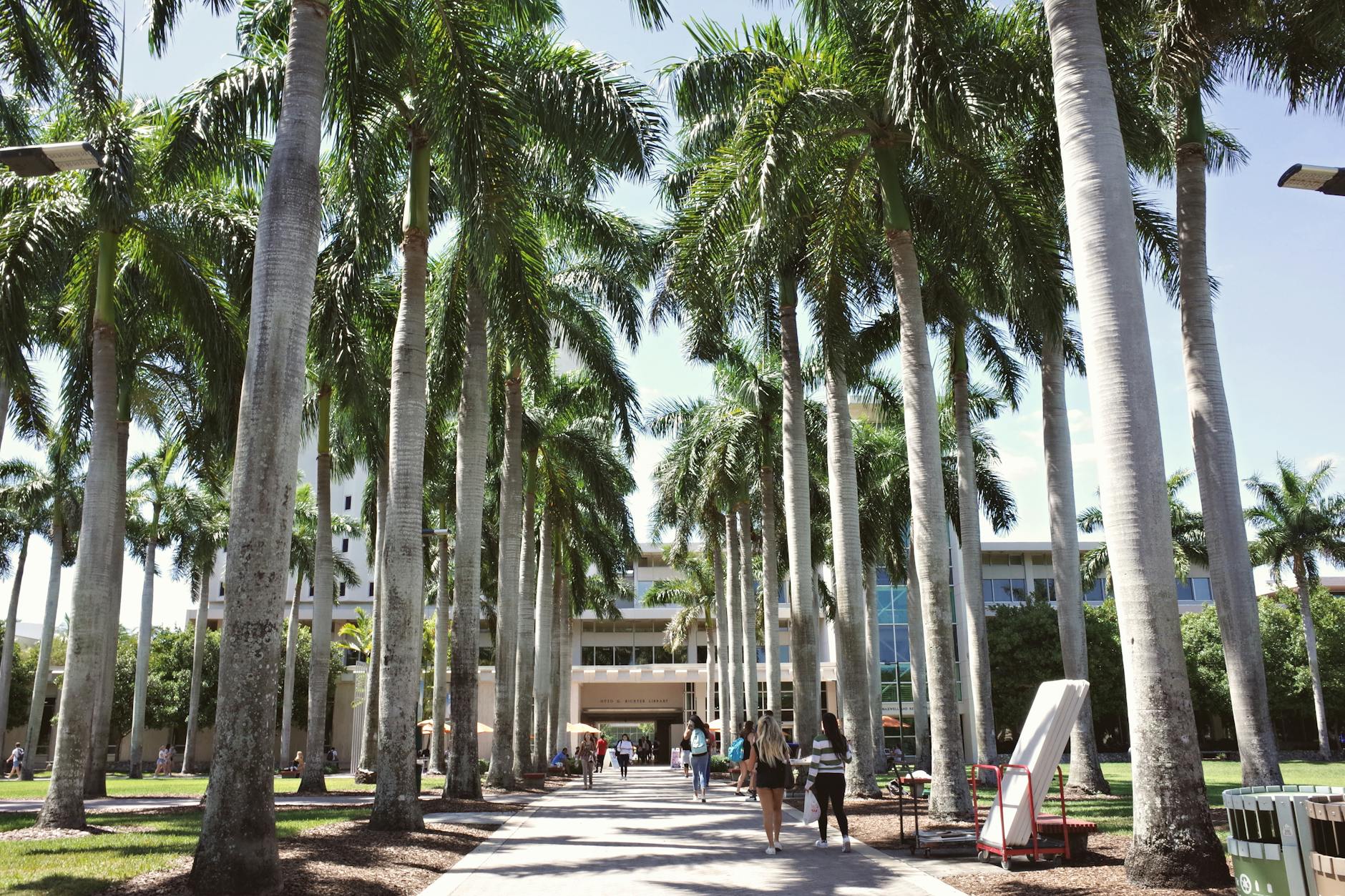 university of miami campus with palm trees
