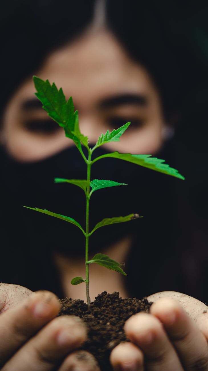 a woman holding a plant